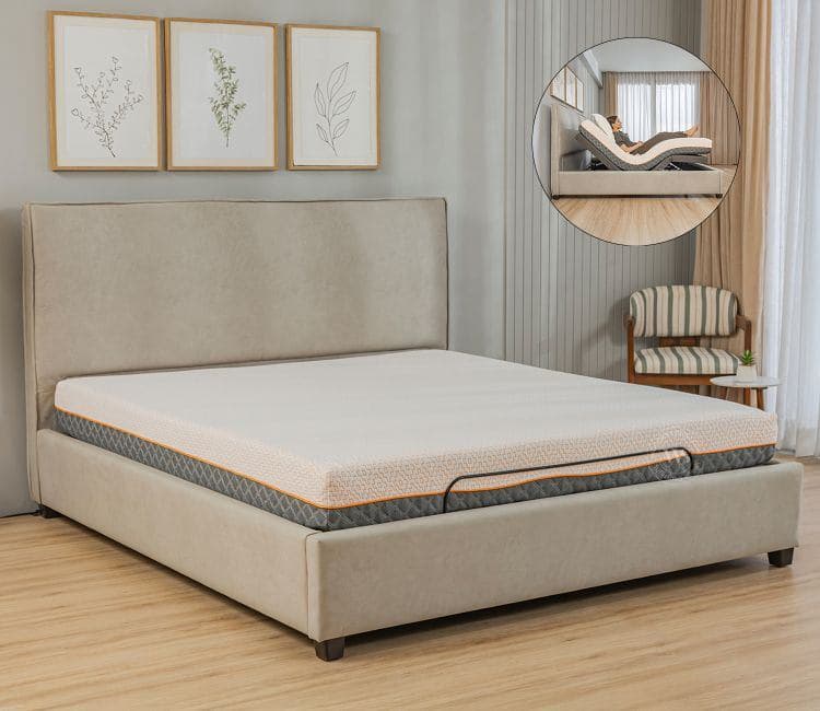 Urban Space Saver Sofa Cum Bed with In-built Storage view 1